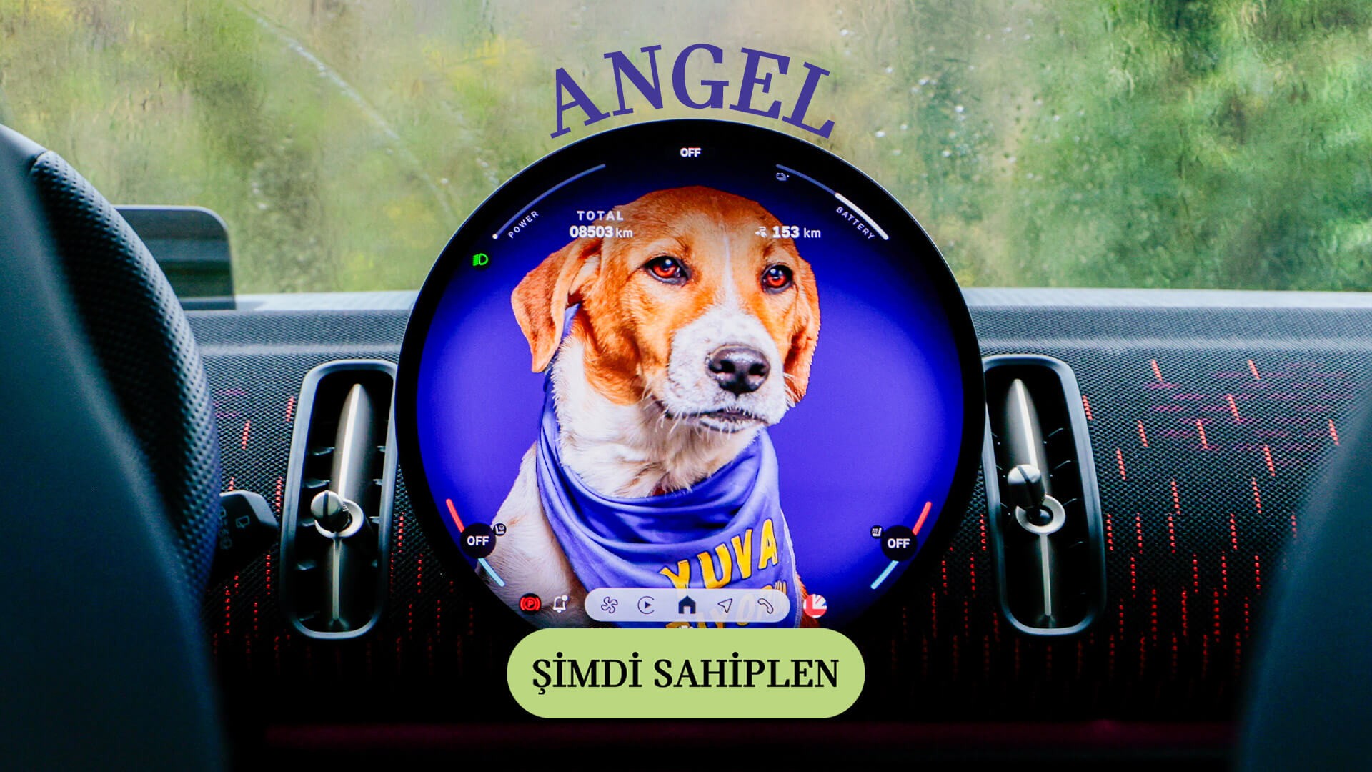 MINI Pati | MINI Türkiye